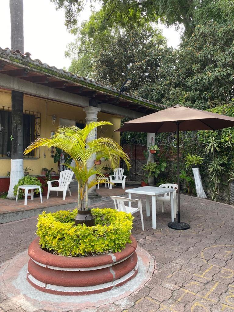 Quinta Angeles Apartment Cuernavaca Exterior photo